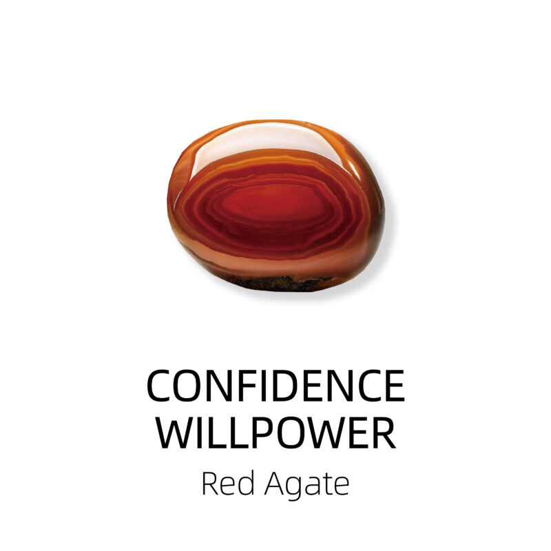 confidence & willpower