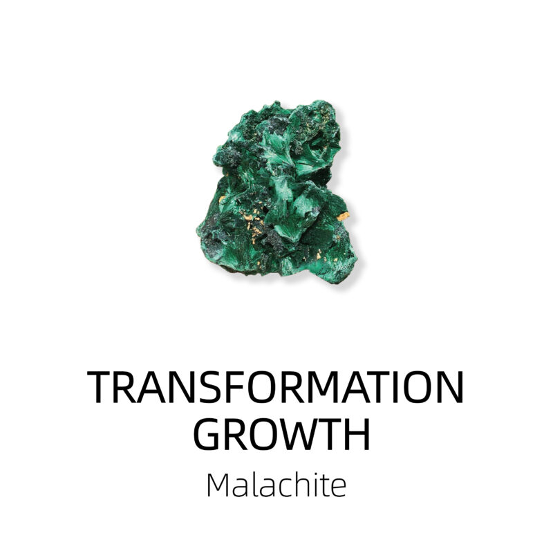 transformation and growth